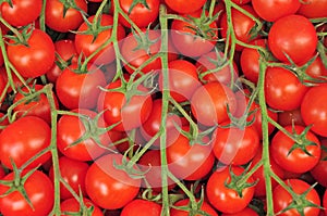 Ortiga  Market , Syracuse, tomatoes