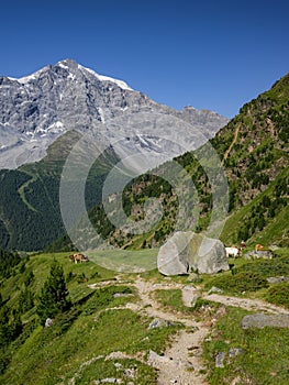 The Ortler Alps near Sulden on a sunny day in summer