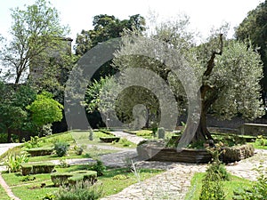 Orto Botanico e Medievale, Perugia (Italia)