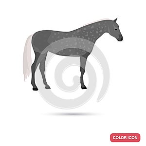 Oryol trotter horse color flat icon