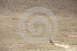 A oryx running in a desert.