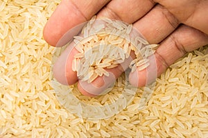 Parboiled Chinese Rice seed. Person with grains in hand. Macro. photo