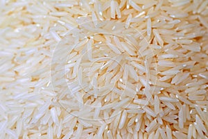 Oryza sativa thailand rice