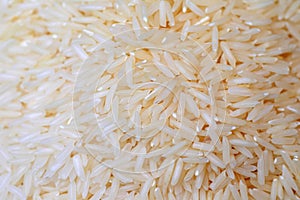 Oryza sativa thailand rice photo