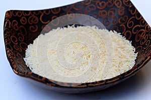 Oryza sativa thailand rice