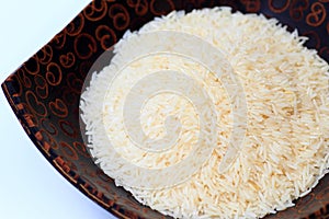 Oryza sativa thailand rice