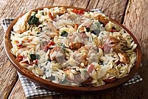 Orzo pasta with fried chicken fillet, sun-dried tomatoes, spinach, garlic and parmesan cheese close-up. Horizontal