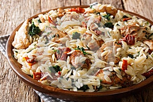 Orzo pasta salad with grilled chicken, sun-dried tomatoes, spinach, garlic and cheese close-up on a plate. horizontal