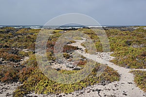 Orzola landscape, lanzarote, canarias island