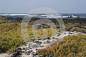 Orzola landscape, lanzarote, canarias island