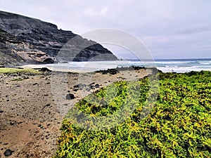 Orzola, Lanzarote