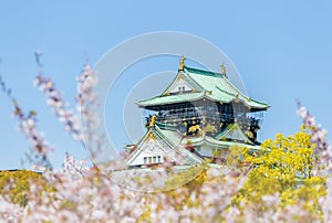 Osaka castle with blurred cherry blossom foregrounds. Japanese spring beautiful scene in Japan