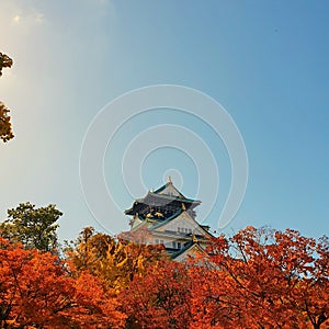 Osaka castle captured behind autumn foliage, orange tree leaves against a blue sky