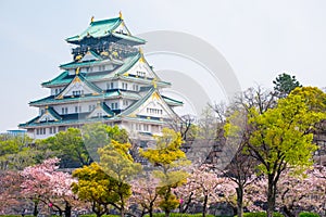 Osaka castle with cherry blossom. Japanese spring beautiful scene ,Osaka,Japan