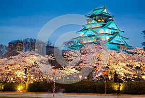 Osaka castle in cherry blossom season, Osaka, Japan