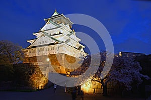 Osaka Castle and cherry trees at night