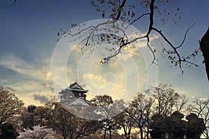 The Osaka Castle with cloudy on blue sky and cherry blossom