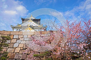 Osaka Castle dates back to 1583, it\'s one of Osaka\'s most popular hanami spots during the cherry