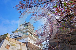 Osaka Castle dates back to 1583, it\'s one of Osaka\'s most popular hanami spots during the cherry