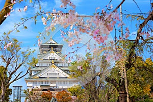 Osaka Castle dates back to 1583, it\'s one of Osaka\'s most popular hanami spots during the cherry