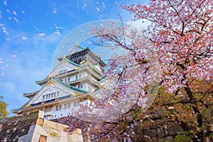 Osaka Castle dates back to 1583, it\'s one of Osaka\'s most popular hanami spots during the cherry