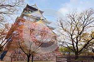 Osaka Castle dates back to 1583, it\'s one of Osaka\'s most popular hanami spots during the cherry