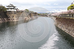 Osaka castle fortress near a canal with sakura blossom