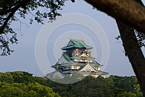 Osaka Castle framed by trees