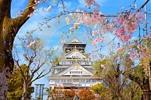 Osaka Castle during full bloom cherry blossom