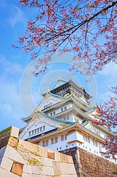 Osaka Castle during full bloom cherry blossom