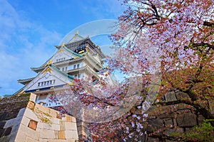 Osaka Castle during full bloom cherry blossom