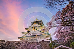 Osaka Castle with full bloom of Sakura photo