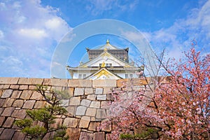 Osaka Castle in Osaka, Japan is one of Osaka\'s most popular hanami spots during the cherry blossom season