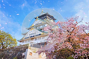 Osaka Castle in Osaka, Japan is one of Osaka\'s most popular hanami spots during the cherry blossom season