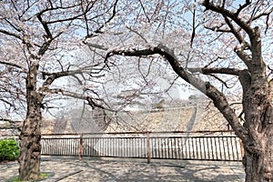 Osaka Castle Osakajo, Kyoto, Japan