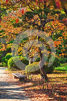 Osaka castle park.