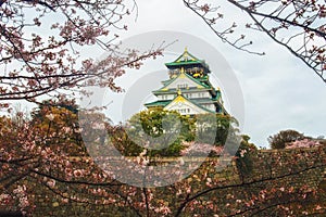 Osaka Castle Sakura