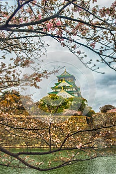 Osaka Castle Sakura