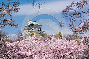 Osaka Castle photo