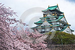 Osaka Castle photo