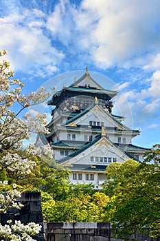Osaka Castle in the summer With a garden with somei Yoshino cherry blossoms blooming photo