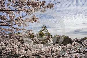 Osaka castle and a tourist boat in the city moat