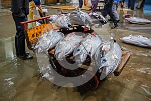 Osaka Central Wholesale Market photo