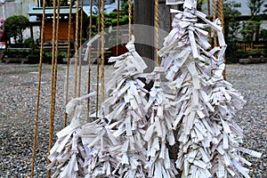 Omikuji paper fortunes in Osaka