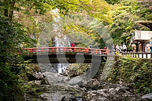 OSAKA, JAPAN -NOVEMBER 07, 2019: tourist Autumn season Red Maple Leaf Fall Foliage at Minoo waterfall in osaka, Japan