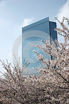 Osaka Office Building.