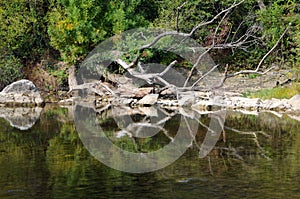 The Osam River in Autumn
