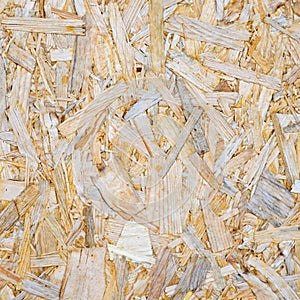 OSB plate consisting of pressed pine tree chips