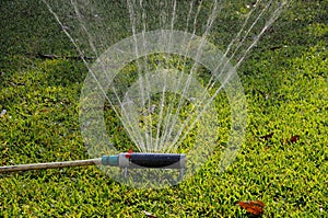 Oscillating garden sprinkler.