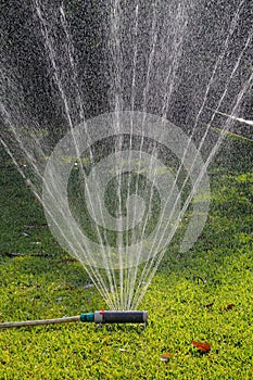 Oscillating garden sprinkler. photo